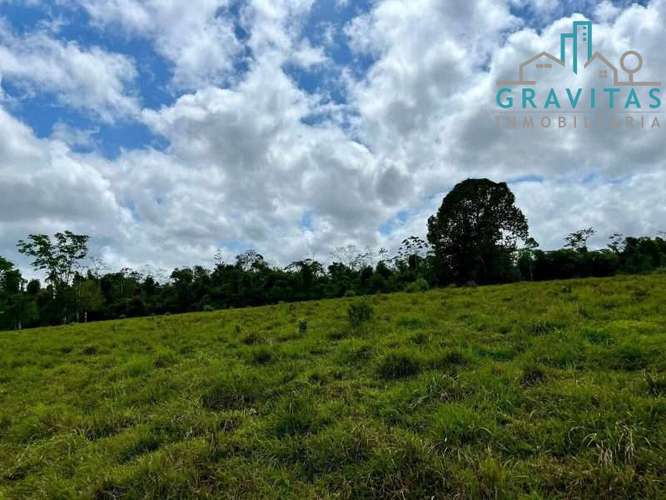 Venta de finca ganadera en San Carlos | 58 Ha | Con agua y luz | F 744 - Imagen 10