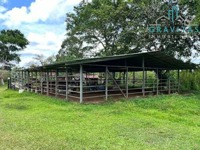 Venta de finca ganadera en San Carlos | 58 Ha | Con agua y luz | F 744 - Imagen 2