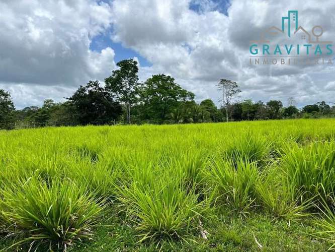 Venta de finca ganadera en San Carlos | 58 Ha | Con agua y luz | F 744 - Imagen 6