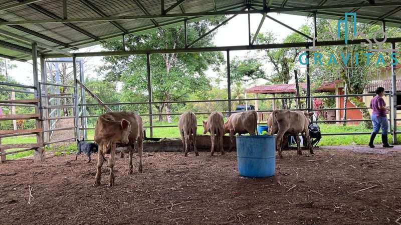 Venta de finca ganadera en San Carlos | 58 Ha | Con agua y luz | F 744 - Imagen 15