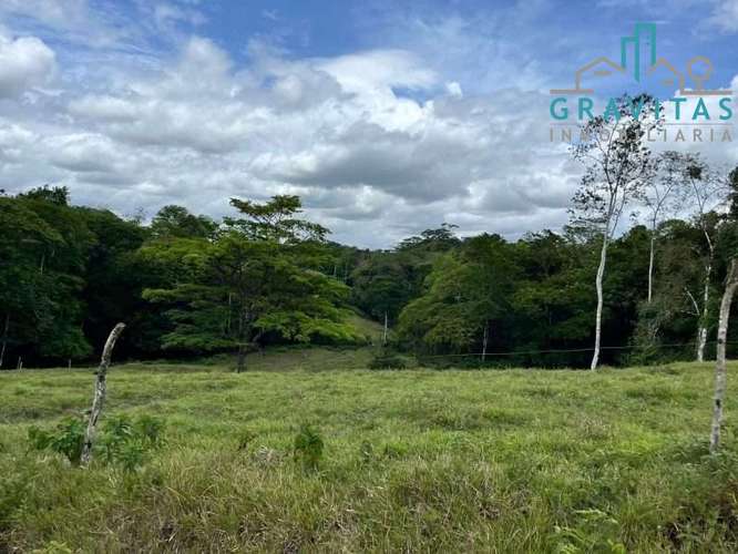 Venta de finca ganadera en San Carlos | 58 Ha | Con agua y luz | F 744 - Imagen 5