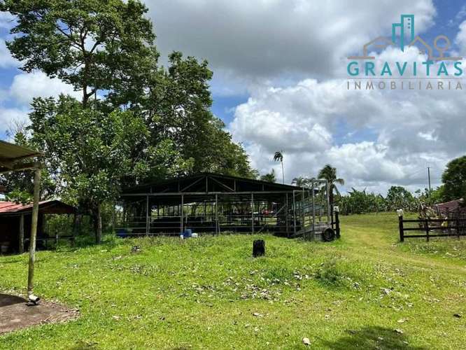 Venta de finca ganadera en San Carlos | 58 Ha | Con agua y luz | F 744 - Imagen 12