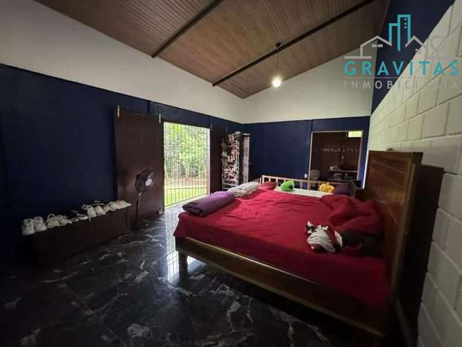 Venta de quinta en San Carlos Pitalito | 1 hectárea | FINANCIAMIENTO DIRECTO | F 745 - Imagen 15