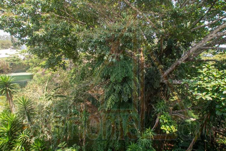 2010 / Alquiler o venta / Pinares / Balcón al bosque /Amplio / 140mts