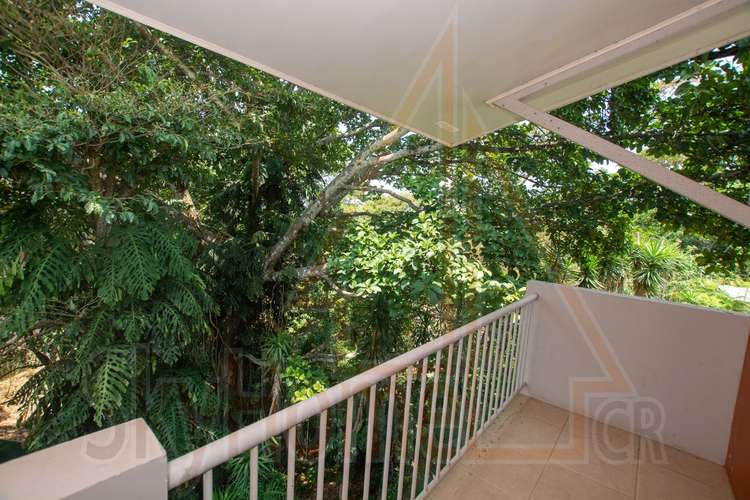 2010 / Alquiler o venta / Pinares / Balcón al bosque /Amplio / 140mts