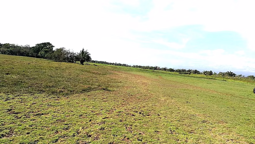 Venta finca ganadera 40 hectareas 