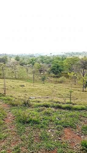 Venta finca ganadera 40 hectareas 