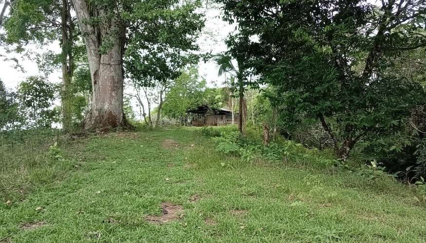 Venta finca ganadera 40 hectareas 