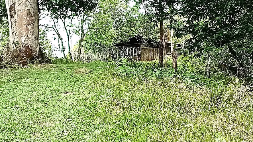 Venta finca ganadera 40 hectareas 