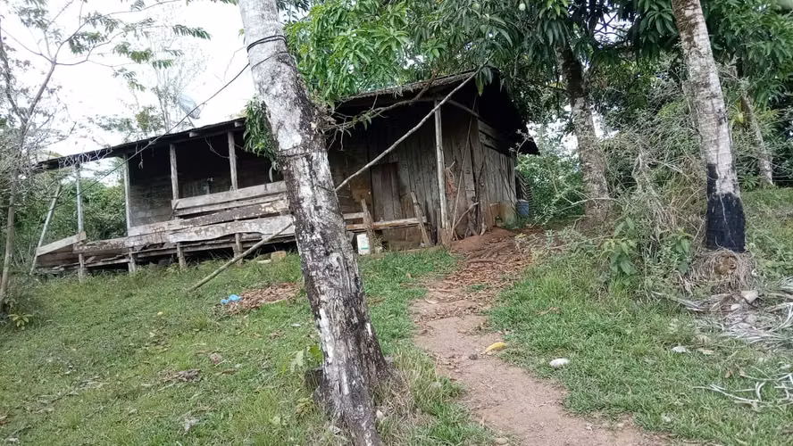 Venta finca ganadera 40 hectareas 