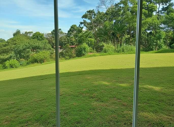 Venta finca ganadera 40 hectareas 