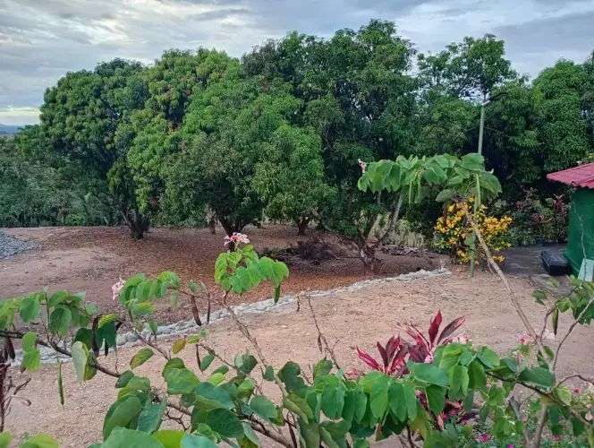 Venta de terreno Quinta con vista al mar en Orotina Cerro Alto, Alajuela 18190 - Imagen 7