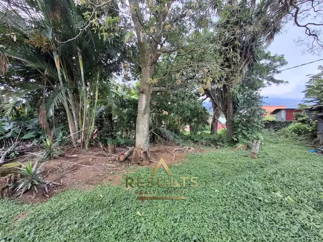 1,186m2 lote comercial cerca del CENTRAL PARK! - Imagen 6
