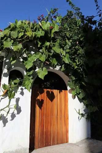 Apartamento Amueblado / Piscina / Vistas / Areas Verdes en San Rafael Escazú