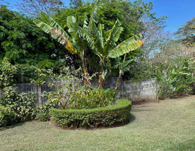 Casa grande de una planta con 4 dormitorios en communidad seguro y cerrado. Con amplios jardines. - Imagen 4