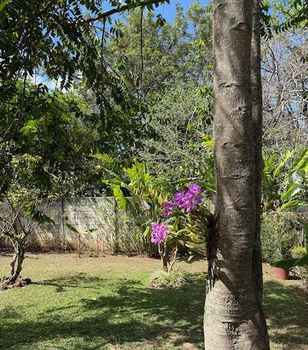 Casa grande de una planta con 4 dormitorios en communidad seguro y cerrado. Con amplios jardines. - Imagen 13