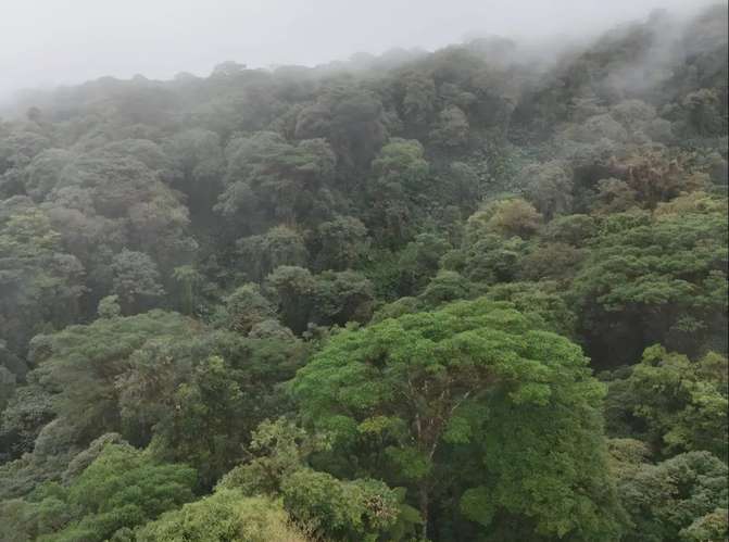 Finca en Monserrat de Cascajal, Vázquez de Coronado, San José - Imagen 9