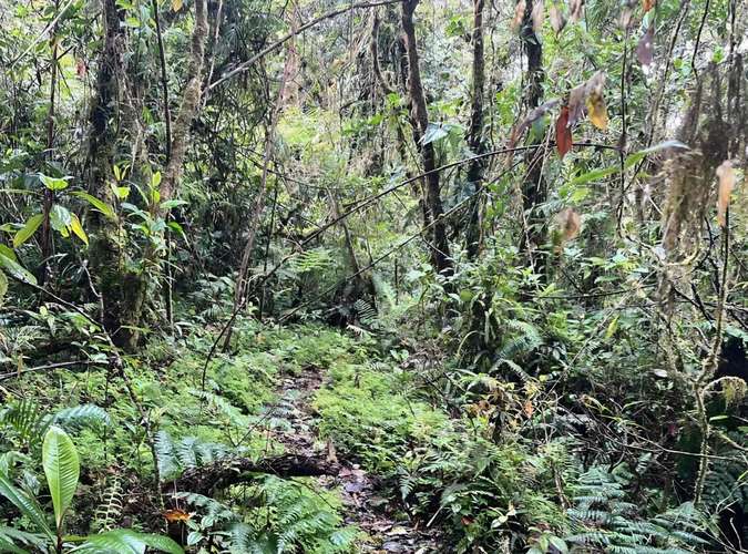 Finca en Monserrat de Cascajal, Vázquez de Coronado, San José - Imagen 7