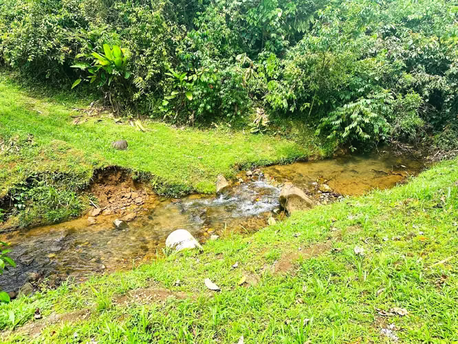 Gran oportunidad en Chachagua: amplia propiedad con casa para remodelar y vistas a las montañas - Imagen 17