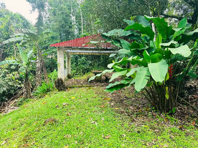 Gran oportunidad en Chachagua: amplia propiedad con casa para remodelar y vistas a las montañas - Imagen 18