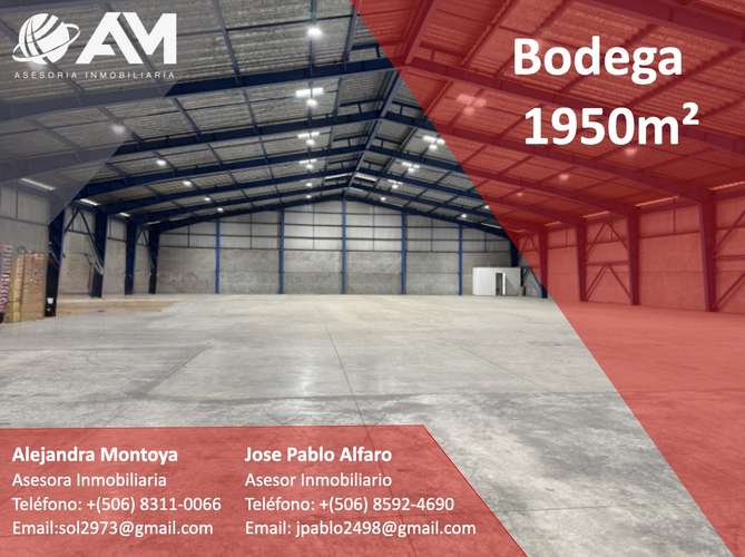BODEGA EN SAN JOSE 1950m² - Imagen 2