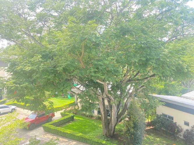 Alquiler Apartamento Lindora