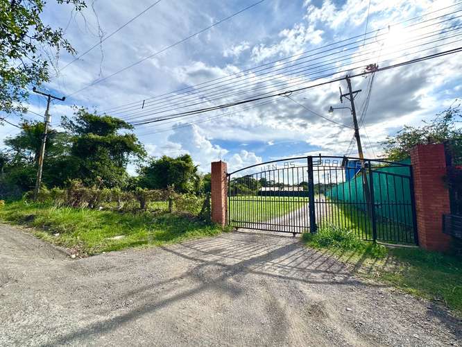 Terreno en alquiler cerca de Zona Franca Coyol LFS - Imagen 6