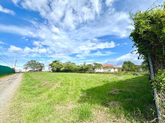 Terreno en alquiler cerca de Zona Franca Coyol LFS - Imagen 3