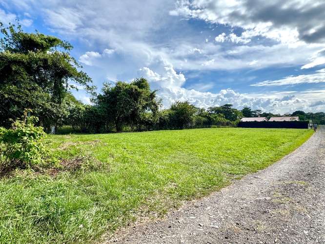 Terreno en alquiler cerca de Zona Franca Coyol LFS - Imagen 2