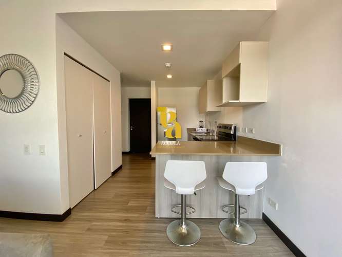 Alquiler de apartamento tipo Loft amueblado y equipado en Rohrmoser