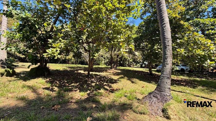 Lote en Concesión Excepcional en la Costa de Esterillos - Imagen 2