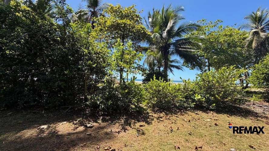 Lote en Concesión Excepcional en la Costa de Esterillos - Imagen 8