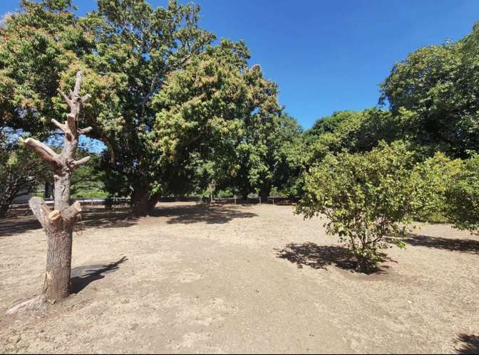  ¡OPORTUNIDAD EN GUANACASTE! PROPIEDAD DE 3.000 m² A SOLO 10 MINUTOS DE SANTA CRUZ  Cerca de playas  - Imagen 3