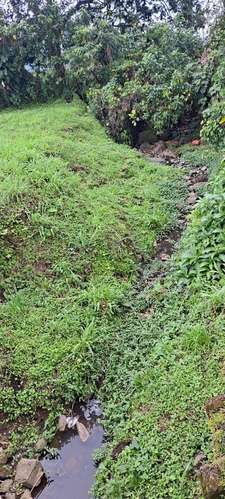 Venta de Terreno en el Centro de Turrialba. 6169 - Imagen 7