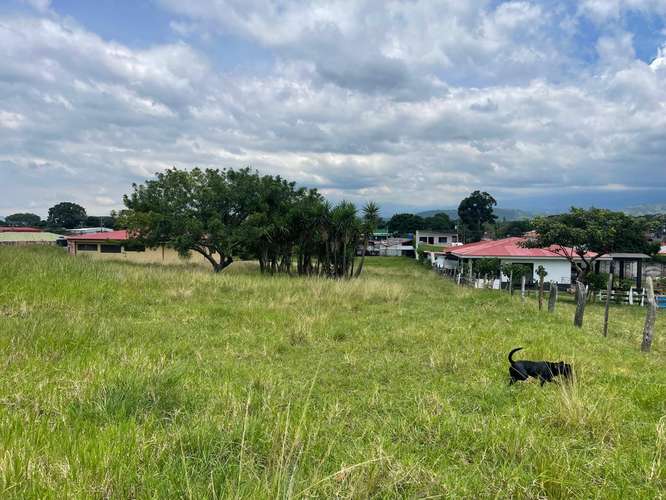 Propiedad mixta 15.000 m² en Alajuela - Imagen 4