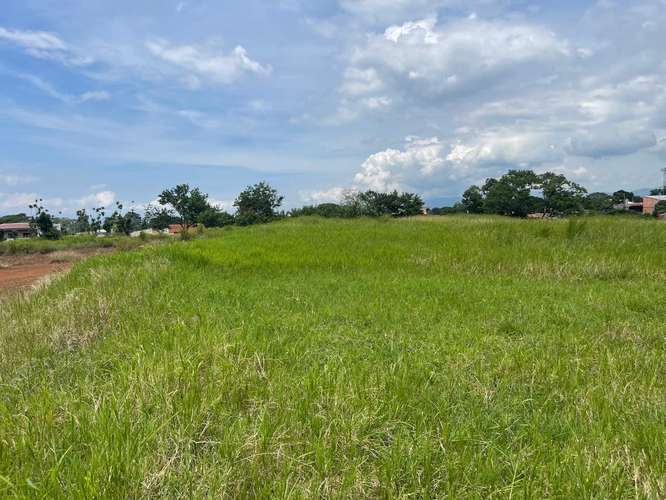 Propiedad mixta 15.000 m² en Alajuela - Imagen 2