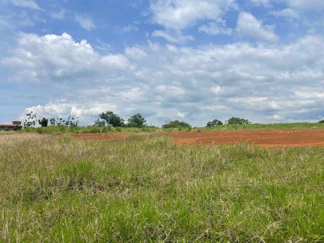 Propiedad mixta 15.000 m² en Alajuela