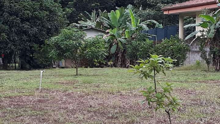 Lote en Venta en Quebrada Ganado, Garabito, Puntarenas – Uso Mixto Cerca de Playa Blanca y Playa Mantas - Imagen 5