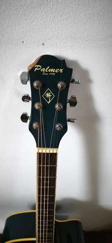 Kit de Principiante con Guitarra Palmer - Imagen 3