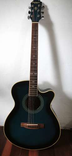 Kit de Principiante con Guitarra Palmer