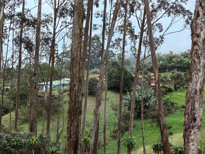 Venta de Quinta, Santa Cruz, Turrialba GBV-222 - Imagen 3