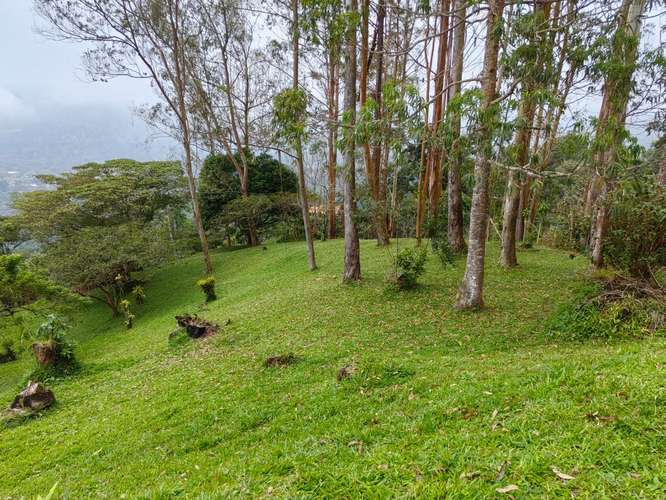 Venta de Quinta, Santa Cruz, Turrialba GBV-222 - Imagen 2