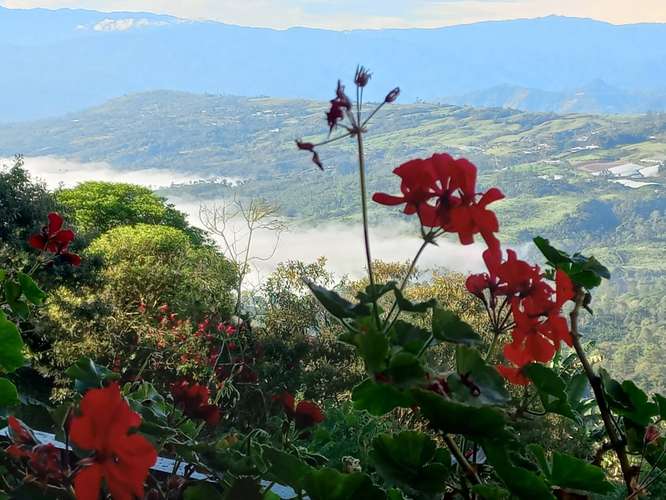 Venta de Quinta, Santa Cruz, Turrialba GBV-222 - Imagen 7