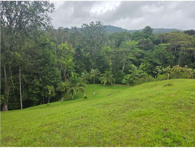 Lote Santa Rita de San Carlos, Alajuela - Imagen 9