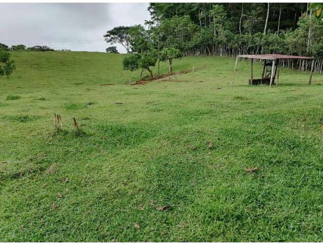 Lote Santa Rita de San Carlos, Alajuela - Imagen 11