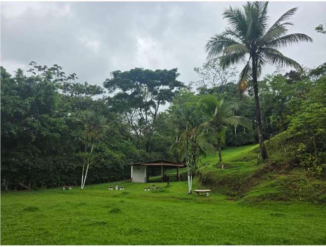 Lote Santa Rita de San Carlos, Alajuela - Imagen 7