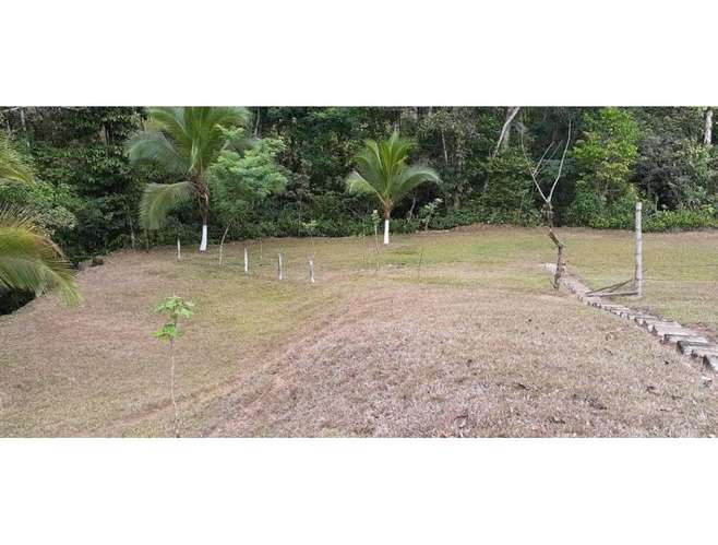 Lote Santa Rita de San Carlos, Alajuela - Imagen 14