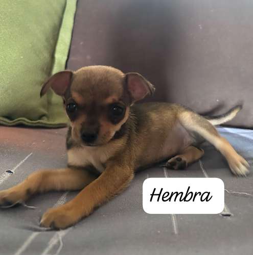 Venta 