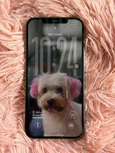 iPhone 12 Pro Max  - Imagen 2
