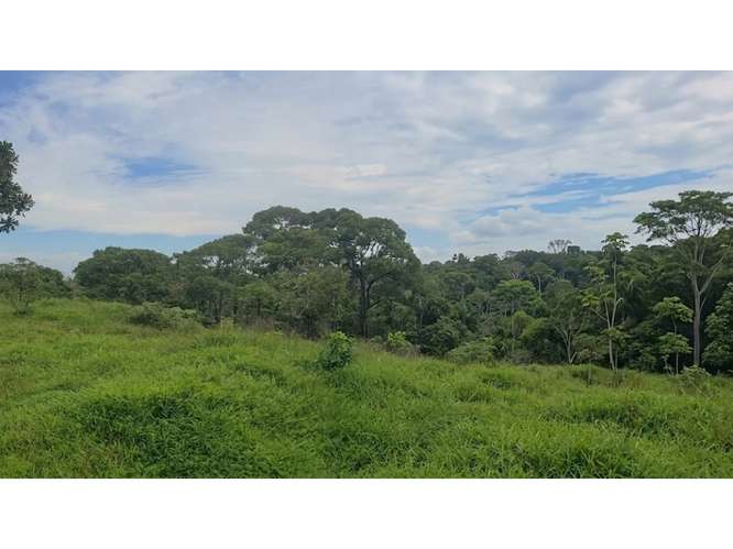 VENTA DE LOTE, RESIDENCIAL Y AGROPECUARIO, HEREDIA, SARAPIQUI - Imagen 2